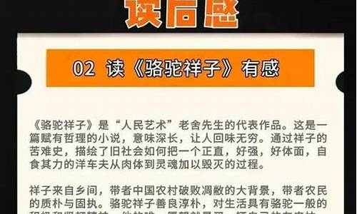 14篇名著读后感100字